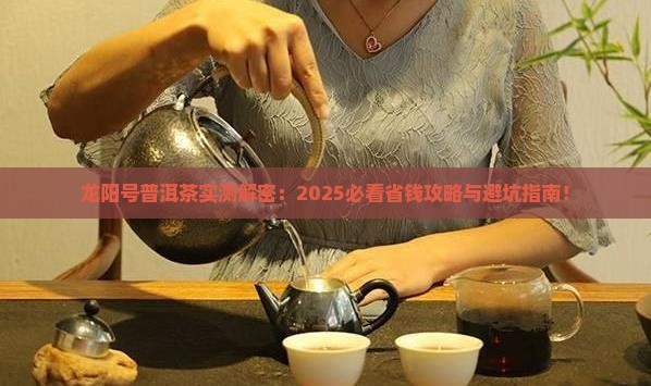 龙阳号普洱茶介绍