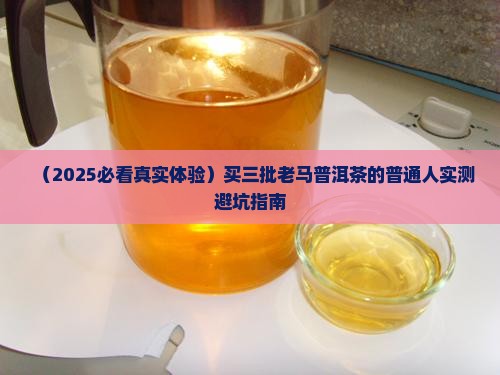三批老马普洱茶