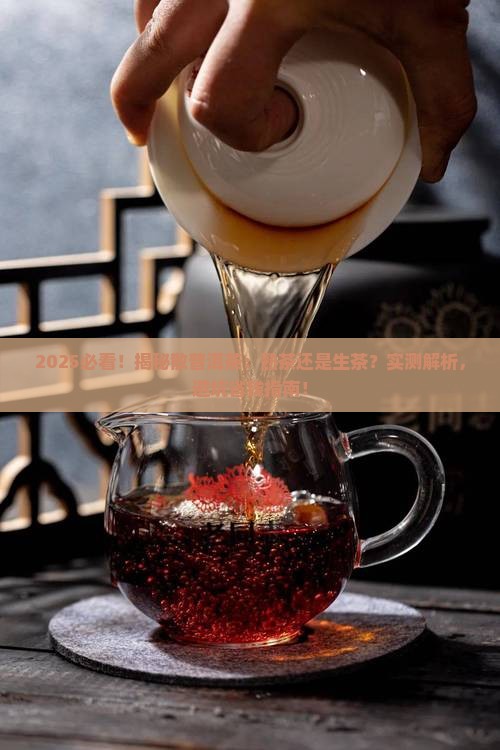 散普洱茶是熟茶