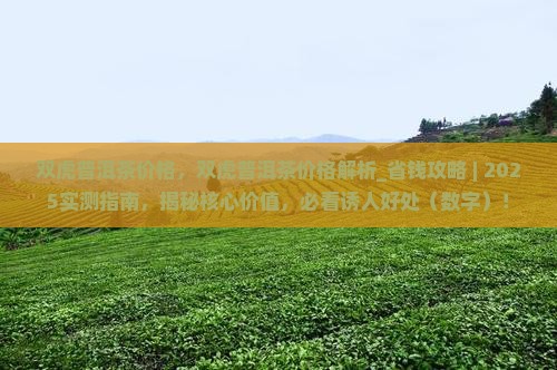 双虎普洱茶价格