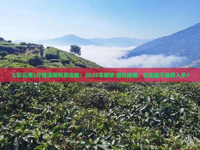 七彩云南2斤普洱茶