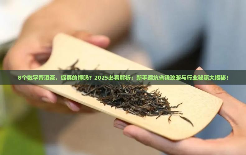 8个数字普洱茶