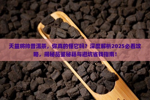 天益将帅普洱茶