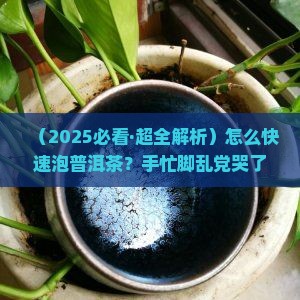 如何快速冲泡普洱茶