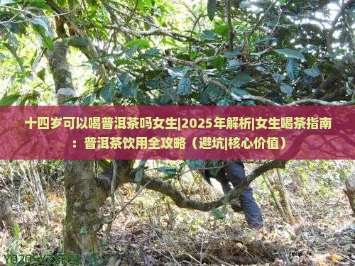 十四岁可以喝普洱茶吗女生