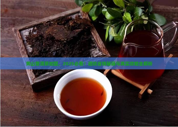 黄山普洱茶代理加盟