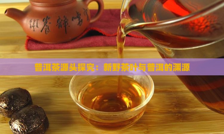 新野茶叶普洱茶源头是什么
