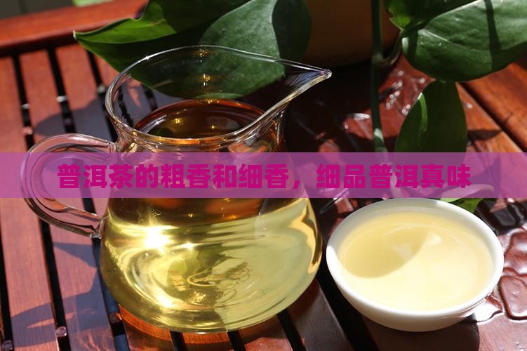 普洱茶的粗香和细香