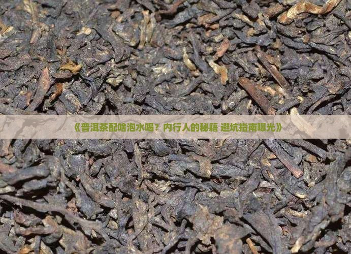 普洱茶适合配什么泡水喝