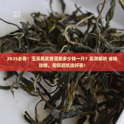 玉溪易武普洱茶多少钱一斤