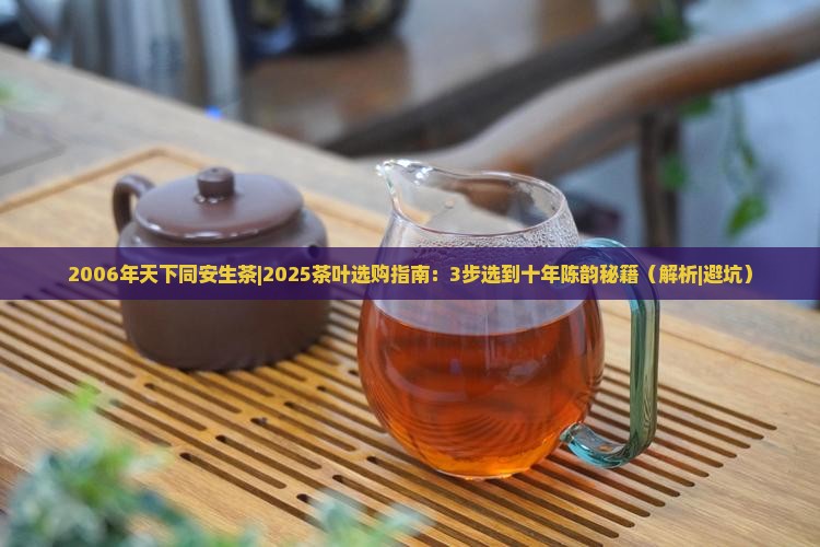 2006年天下同安生茶