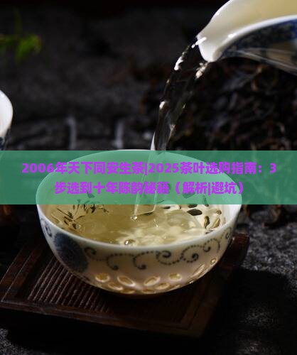 2006年天下同安生茶