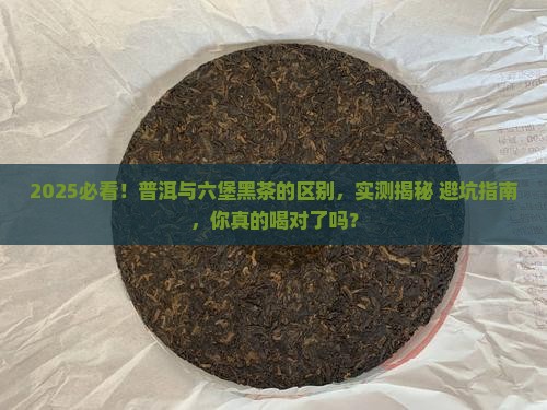 普洱与六堡黑茶的区别