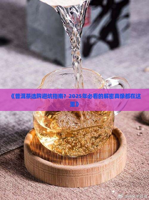 关于普洱茶的那些事