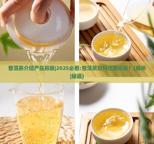 普洱茶介绍产品排版