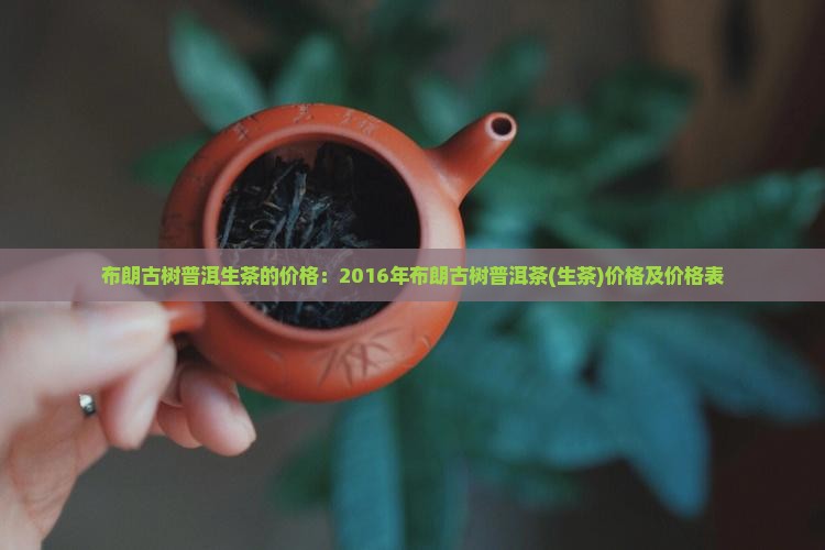 布朗古树普洱生茶的价格