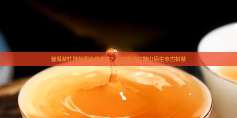 普洱茶忙肺茶哪个地方
