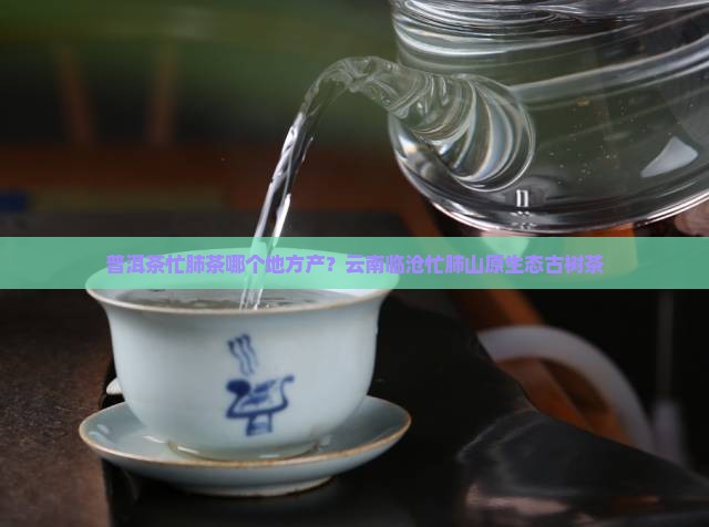 普洱茶忙肺茶哪个地方