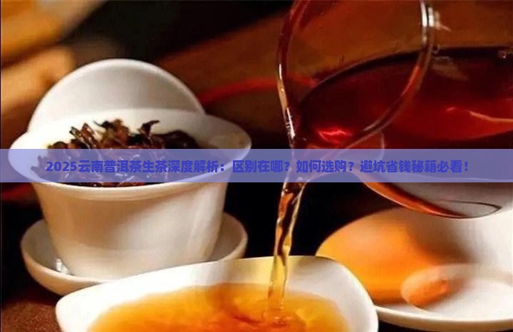 云南普洱茶生茶有什么区别