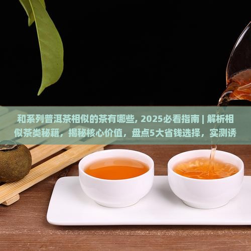 和系列普洱茶相似的茶有哪些