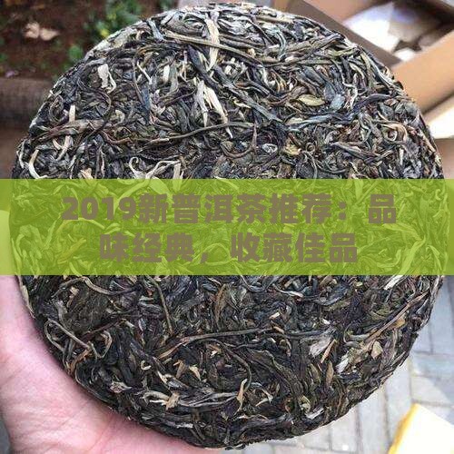 2019新普洱茶推荐