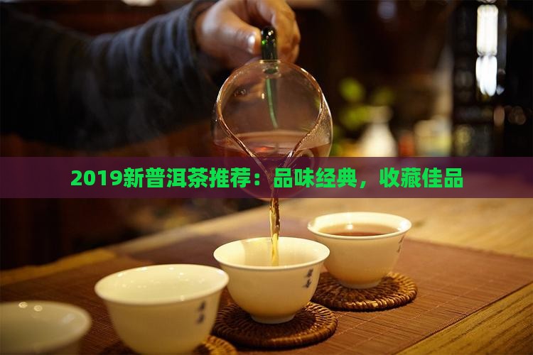 2019新普洱茶推荐