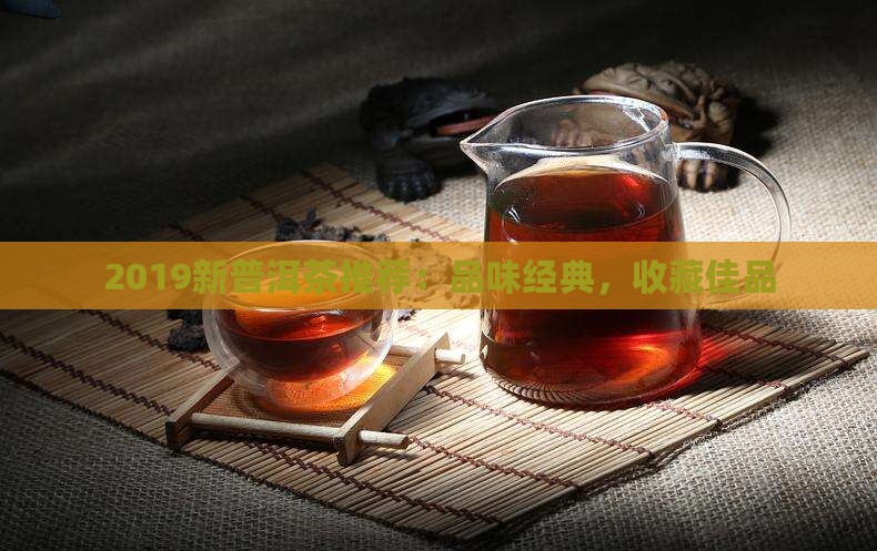 2019新普洱茶推荐