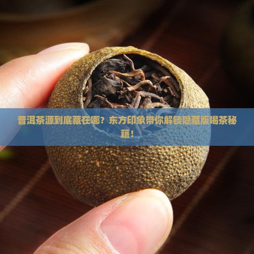东方印象普洱茶源