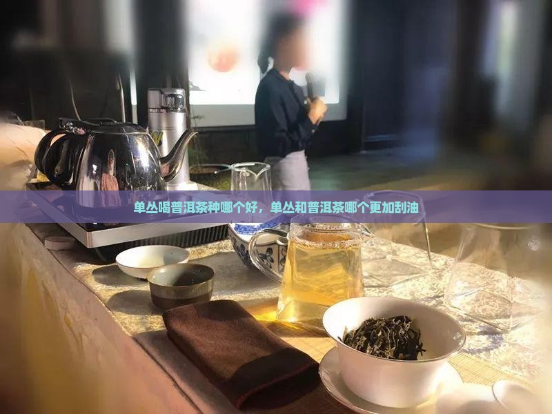 单丛喝普洱茶种