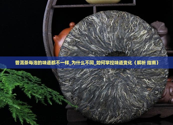 普洱茶每泡的味道都不一样