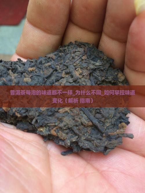 普洱茶每泡的味道都不一样