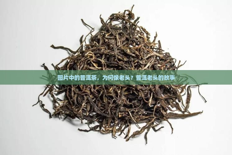 普洱茶像老头子