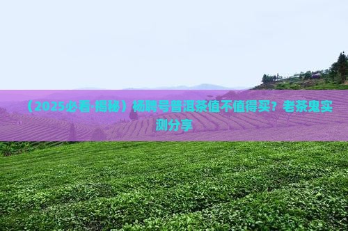 杨聘号普洱茶好吗