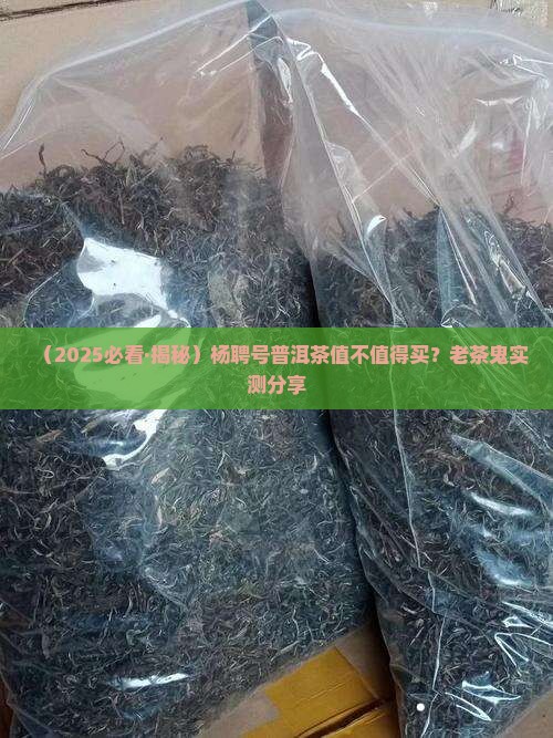杨聘号普洱茶好吗