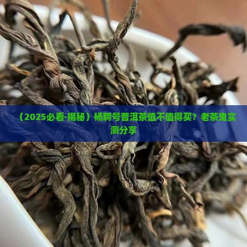 杨聘号普洱茶好吗