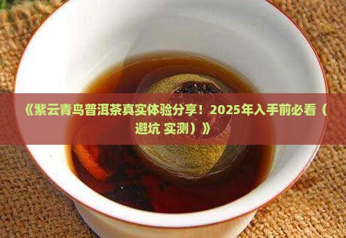 紫云青鸟普洱茶怎么样