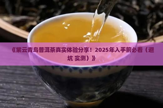 紫云青鸟普洱茶怎么样
