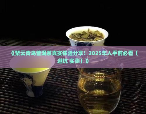 紫云青鸟普洱茶怎么样