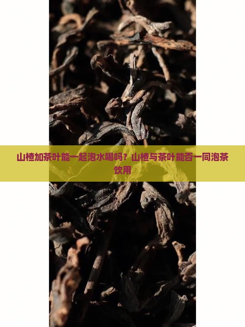 山楂加茶叶能一起泡