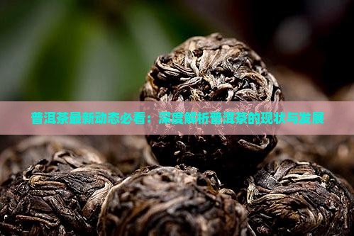 普洱茶最近有新消息吗