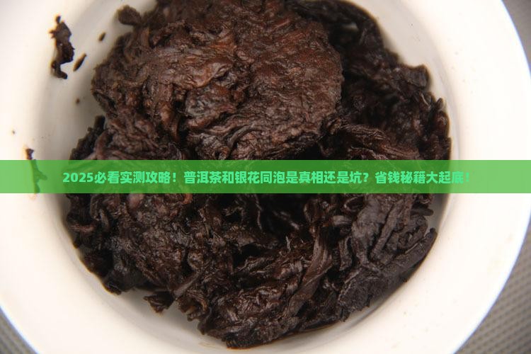 普洱茶和银花能同泡吗