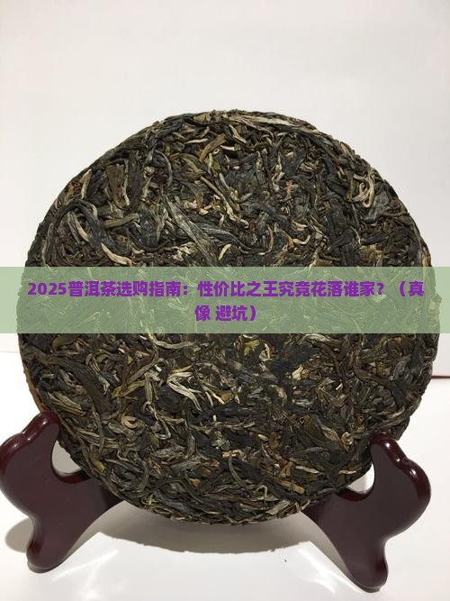性价比之王普洱茶推荐