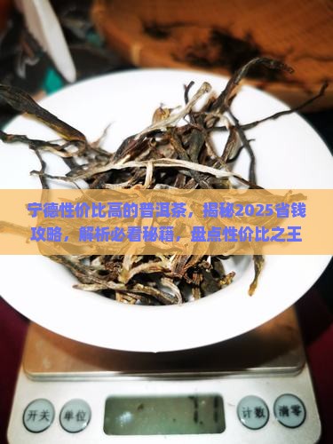 宁德性价比高的普洱茶