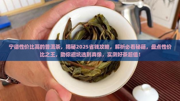 宁德性价比高的普洱茶