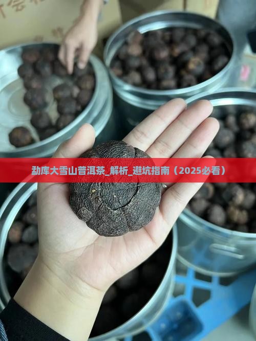 勐库大雪山普洱茶的知识