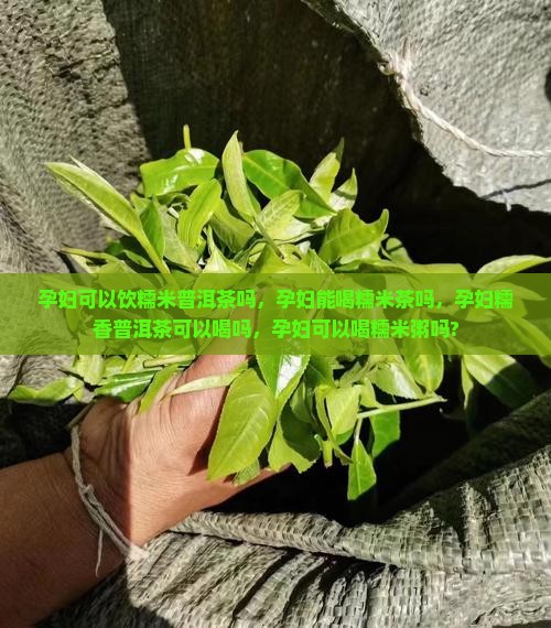 孕妇可以饮糯米普洱茶吗