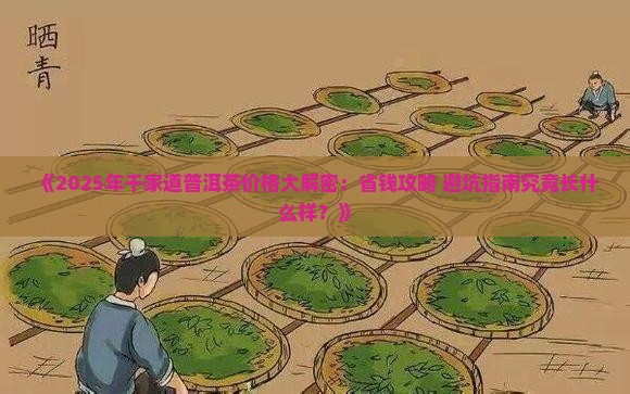 千家道普洱茶价格表