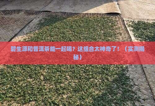 碧生源喝普洱茶一块喝
