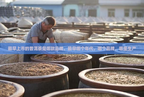 最早上市的普洱茶是哪款