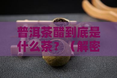 普洱茶醋是什么茶